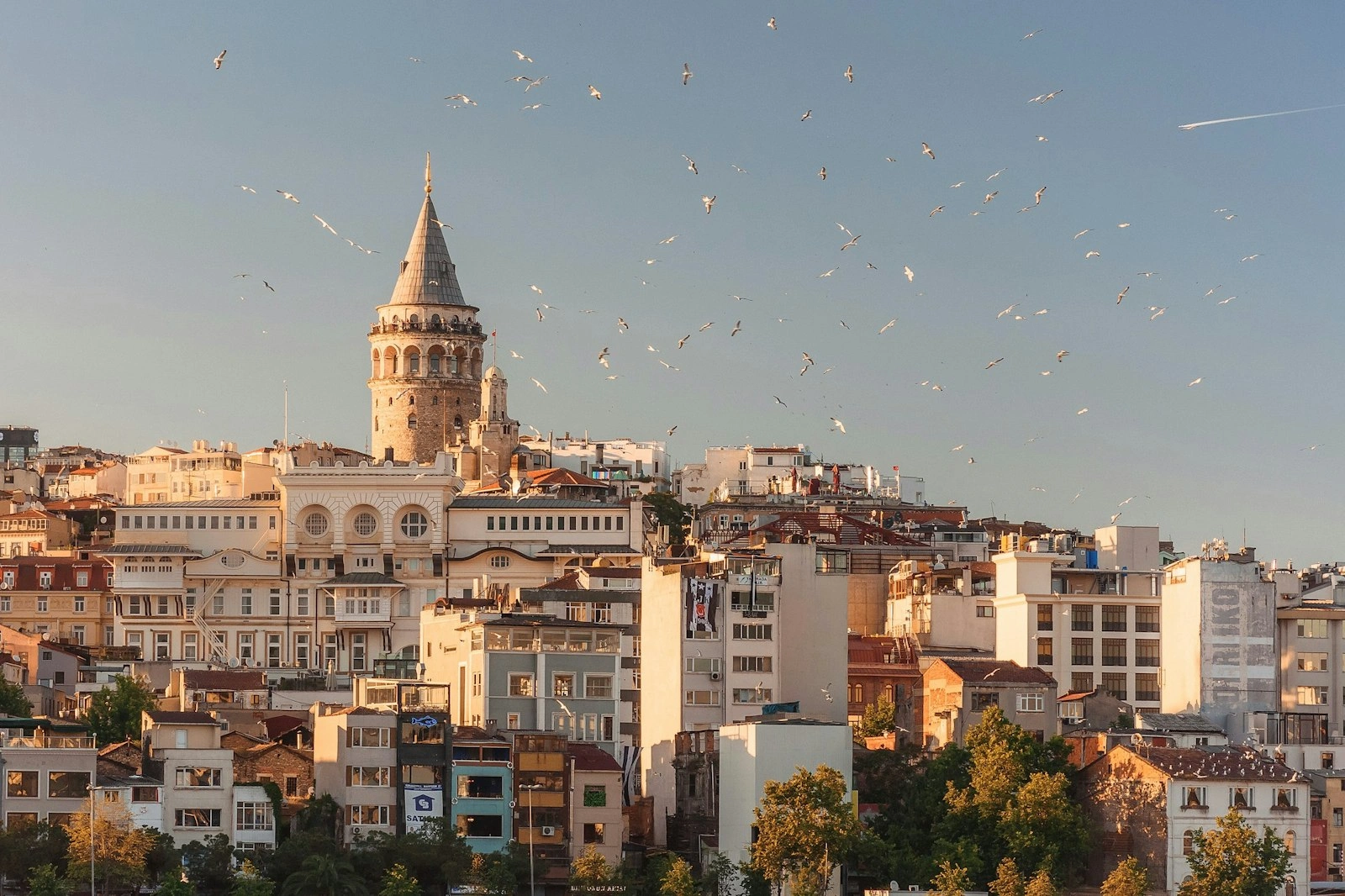 Türkiye Şubesi